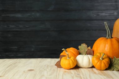 Şükran Günü. Birçok farklı balkabağı ve kuru yapraklar ahşap masa üzerinde, metin için boşluk