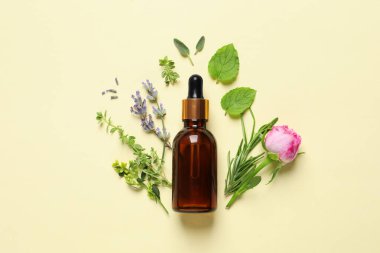 Gerekli yağ şişesi, farklı otlar ve bej arka planda gül çiçeği.