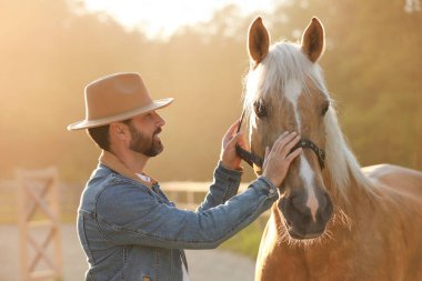 Güneşli bir günde dışarıda at süren bir adam. Sevimli evcil hayvan