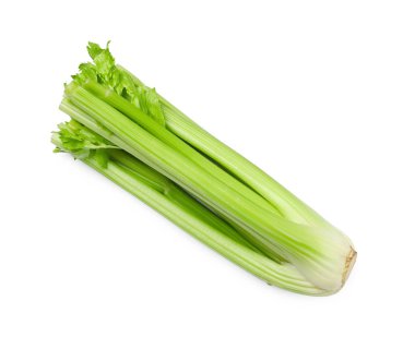 Bir taze yeşil kereviz demeti beyaz, üst manzara