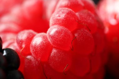 Arka plan olarak farklı olgun böğürtlenler, makro görünüm