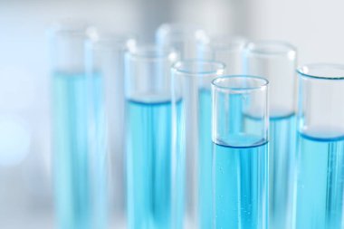 Test tubes with light blue liquid in laboratory, closeup. Space for text