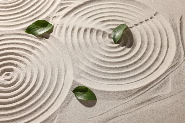 Beautiful spirals and leaves on sand. Zen garden