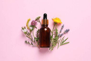 Bir şişe gerekli yağ, farklı otlar ve pembe arka planda çiçekler, düz uzanmış.