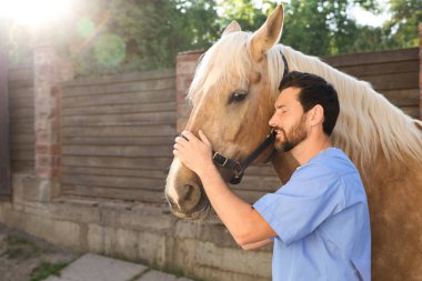 Veteriner ve dışarıda çok güzel bir at. Hayvan bakımı
