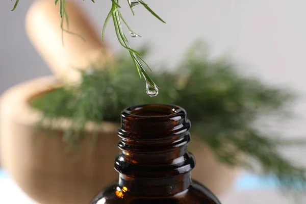 Dripping essential oil from dill into bottle on blurred background, closeup