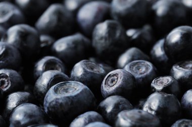 Arka plan olarak pek çok lezzetli olgun yaban mersini, yakın plan