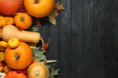 Şükran Günü. Siyah ahşap masa üzerinde kabak ile düz bileşim yatıyordu, metin için boşluk
