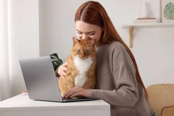 Woman with cat working at desk. Home office