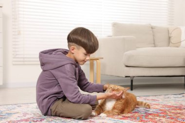 Evdeki halıda sevimli kızıl kediyi okşayan küçük çocuk.