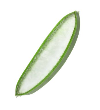 Yeşil aloe vera dilimi beyaza izole edilmiş