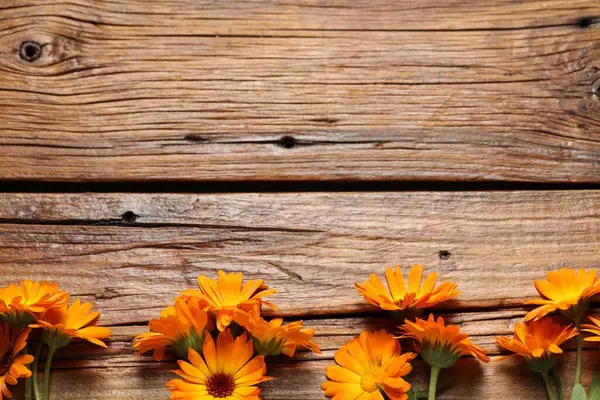Mooie Verse Calendula Bloemen Houten Tafel Plat Gelegd Ruimte Voor — Stockfoto