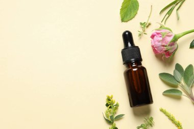 Bir şişe gerekli yağ, farklı otlar ve bej arka planda gül çiçeği, düz yatak. Metin için boşluk