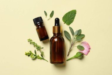 Gerekli yağlar, farklı otlar ve bej arka planda gül tomurcukları.