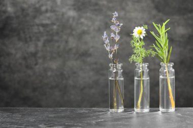 Önemli yağlı şişeler ve gri desenli masa üzerinde bitkiler. Metin için boşluk