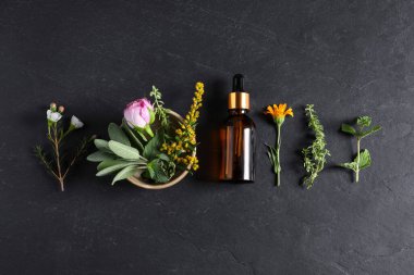Bir şişe gerekli yağ, farklı otlar ve çiçekler siyah masada, düz yerde.