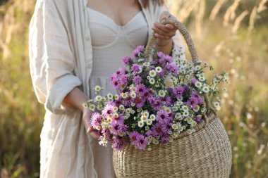 Hasır sepet tutan bir kadın, güzel kır çiçekleri, yakın plan.
