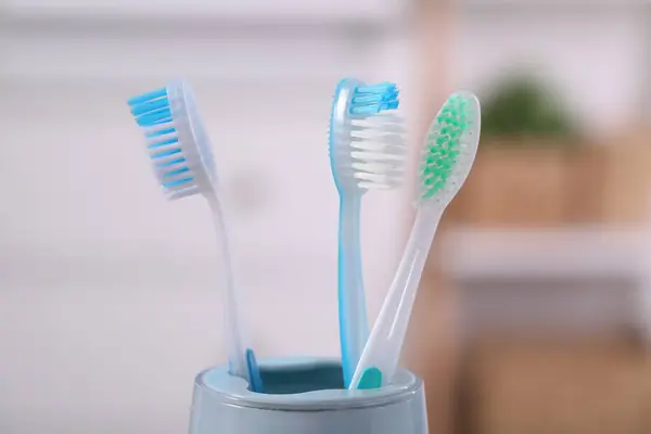 Plastic toothbrushes in holder on blurred background, closeup