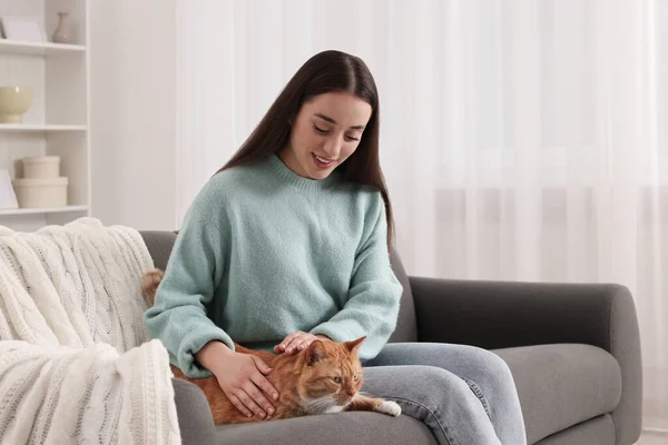 自宅でソファーにかわいい猫を飼っている美しい女性 — ストック写真