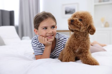 Evdeki yatakta küçük bir çocuk ve sevimli bir köpek yavrusu. Sevimli hayvan