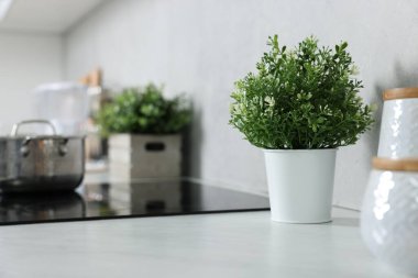 Mutfaktaki beyaz tezgahın üzerine yapay bitkiler yerleştirdim.