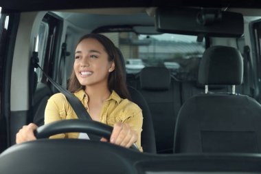 Radyo dinliyordum. Arabadaki müzikten hoşlanan güzel bir kadın, ön camdan manzaralı.