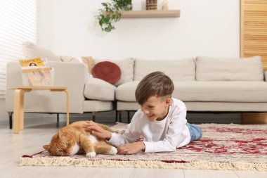 Evdeki halıda sevimli kızıl kediyi okşayan küçük çocuk.