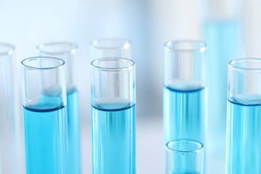Laboratuvarda açık mavi sıvıyla test tüpleri, yakın plan.