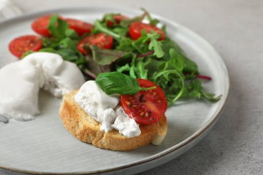 Domatesli nefis burata peyniri, roka ve tost gri masada, yakın plan.