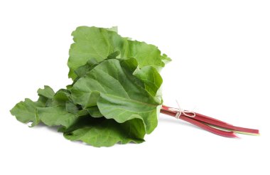 Beyaz yapraklı taze ravent sapları.