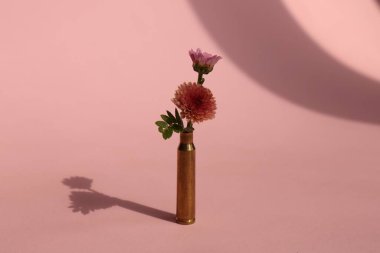 Mermi kovanı ve pembe arka planda güzel kasımpatı çiçekleri.