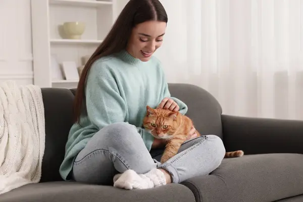 Güzel bir kadın evdeki kanepede kediyi okşuyor.