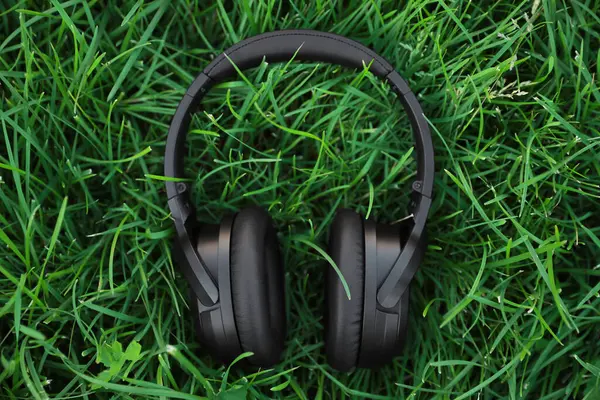 Black wireless headphones on green grass outdoors, top view