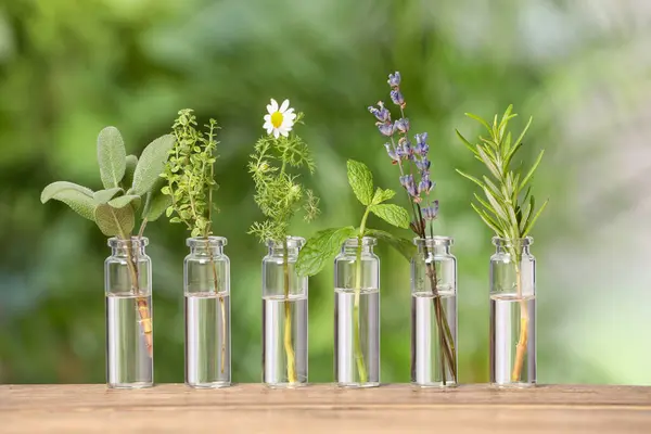 Many bottles with essential oils and plants on wooden table against blurred green background