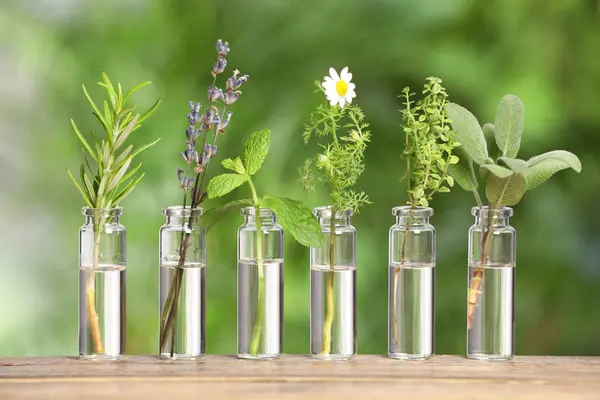 Many bottles with essential oils and plants on wooden table against blurred green background