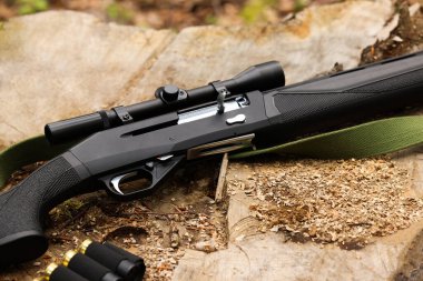 Av tüfeği ve kartuş ağaçta, ağaç kütüğünde, yakın plan.