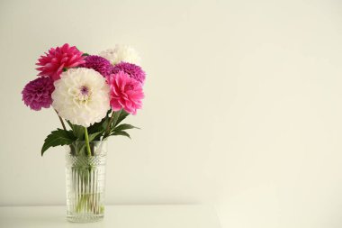 Vazoda bir buket güzel Dahlia çiçeği beyaz duvarın yanındaki masada, mesaj için yer var.