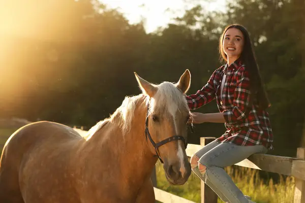晴れた日には美しい馬の屋外で美しい女性 素敵な家畜ペット — ストック写真
