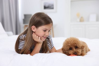 Evdeki yatakta küçük bir çocuk ve sevimli bir köpek yavrusu. Sevimli hayvan