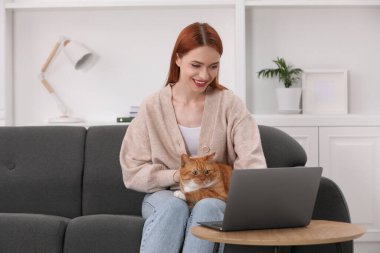 Kedili mutlu kadın evde kanepede çalışıyor.