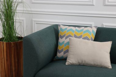 Tencerede yeşil yapay bitki ve beyaz duvarın yanında yastıklar olan yumuşak kanepe.