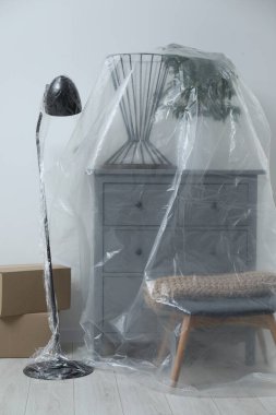 Modern mobilya, plastik film ve kutularla kaplı ev bitkisi.