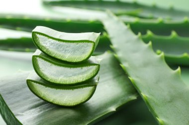Yeşil arkaplanda taze aloe vera parçaları, yakın plan