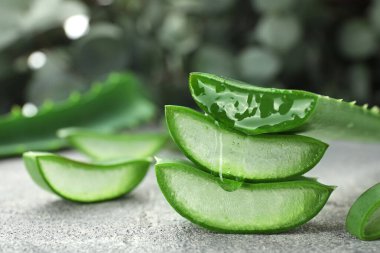 Gri masada taze aloe vera parçaları, yakın plan. Metin için boşluk