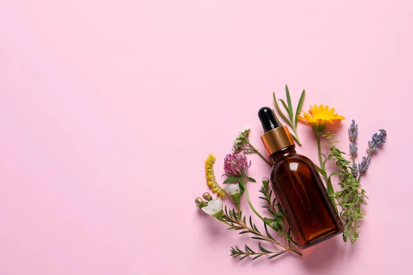 Botella Aceite Esencial Diferentes Hierbas Flores Sobre Fondo Rosa Planas — Foto de Stock