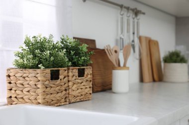 Mutfaktaki tezgahta farklı saksıda suni bitkiler var, metin için de yer var. Ev dekoru
