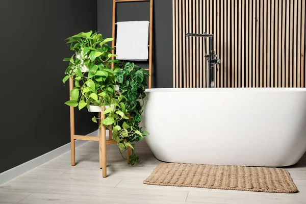 Spa day. Stylish bathroom interior with ceramic tub and green houseplants
