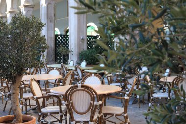 Havalı mobilyaları ve saksısı olan açık hava kafesi.