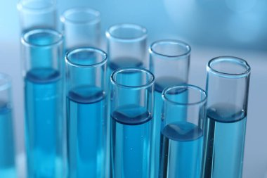 Laboratuvarda açık mavi sıvıyla test tüpleri, yakın plan.