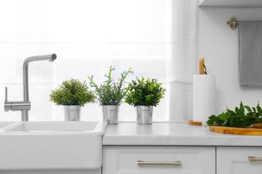 Mutfaktaki tezgahta farklı saksıda suni bitkiler var. Ev dekoru